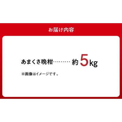 あまくさ晩柑 約5kg【先行受付】_S149-003