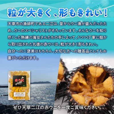 天草二江の天然赤うに 80g_S157-005