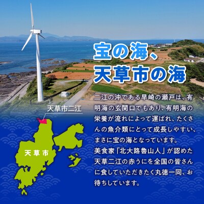 天草二江の養殖赤うに 60g_S157-007
