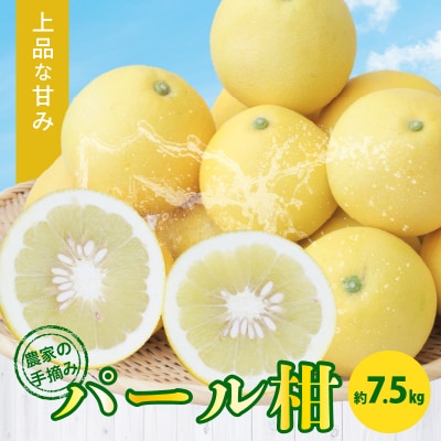 〈先行受付〉農家の手摘み パール柑 約7.5kg_S040-022A