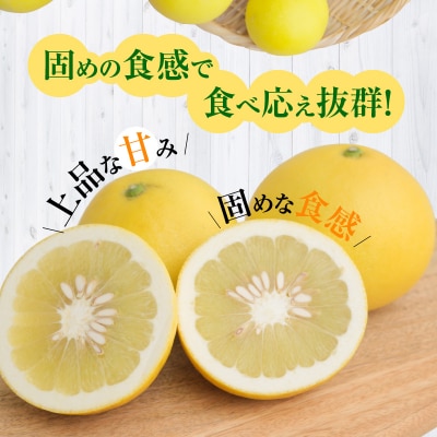 〈先行受付〉農家の手摘み パール柑 約7.5kg_S040-022A