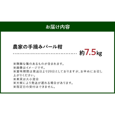 〈先行受付〉農家の手摘み パール柑 約7.5kg_S040-022A