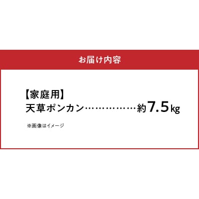 農家の手摘み天草ポンカン約7.5kg 家庭用〈先行受付〉_S040-008A