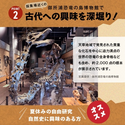 化石ディグ利用券(4名様)_S174-004