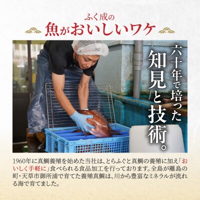 【Firesh】一人暮らし応援!真鯛のお手軽セット(鯛のピザ・醤油漬け)_S106-029