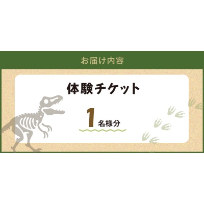 化石ディグ利用券(1名様)_S174-001