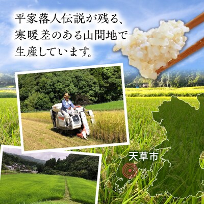 天草方原産　清流米　コシヒカリ　玄米5キロ【先行受付】_S150-005