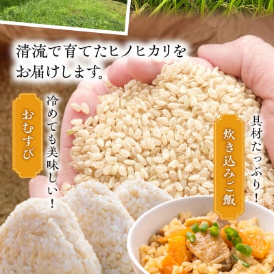 天草方原産　清流米　コシヒカリ　玄米5キロ【先行受付】_S150-005