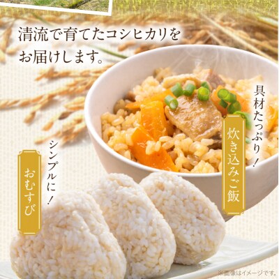 天草方原産　清流米　コシヒカリ　玄米5キロ【先行受付】_S150-005