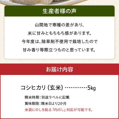 天草方原産　清流米　コシヒカリ　玄米5キロ【先行受付】_S150-005