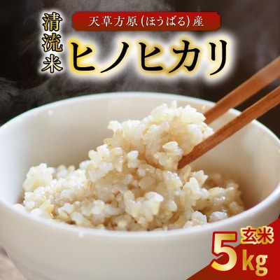 天草方原(ほうばる)産　清流米　ヒノヒカリ　玄米5kg【先行受付】_S150-004
