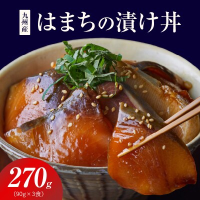九州産はまちの漬け丼 3食セット_S155-002