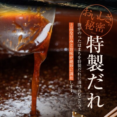 九州産はまちの漬け丼 15食セット_S155-004