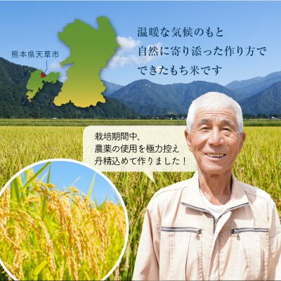 【令和6年産】鏡さんちのもち米(ヒヨクモチ)5kg_S050-009