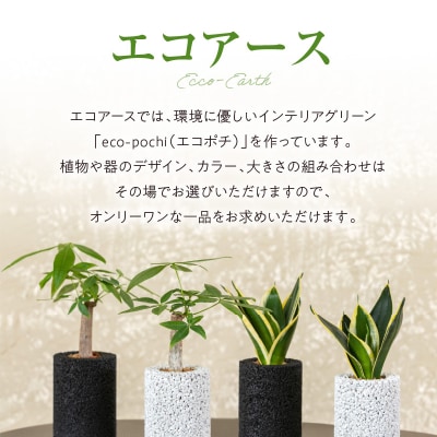 エコ・アースでご利用可能なお買い物券　7,000円分_S060-118