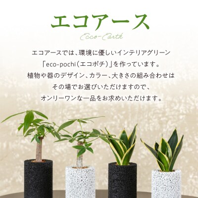 エコ・アースでご利用可能なお買い物券　6,000円分_S060-117
