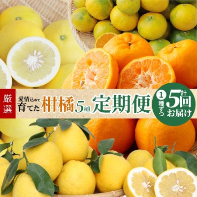 【定期便5回】厳選!天草 下浦地区の農家が愛情込めて育てた柑橘5種_S040-017A