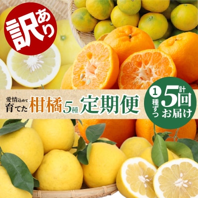 【訳あり 定期便5回】天草 下浦地区の農家が愛情込めて育てた柑橘5種_S040-018A