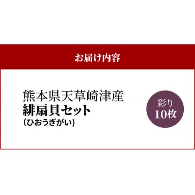 【先行受付】熊本県天草崎津産 緋扇貝(ひおうぎがい)彩り 10枚_S021-004