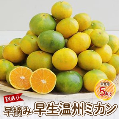 【訳あり】早摘み早生温州ミカン 家庭用5kg_S040-025