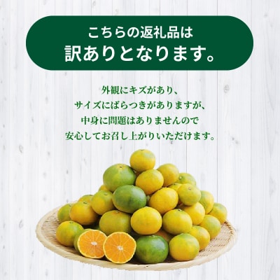 【訳あり】早摘み早生温州ミカン 家庭用5kg_S040-025