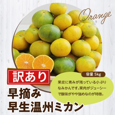 【訳あり】早摘み早生温州ミカン 家庭用5kg_S040-025