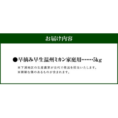 【訳あり】早摘み早生温州ミカン 家庭用5kg_S040-025