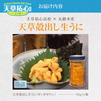天草殻出し生うに50g_S168-009