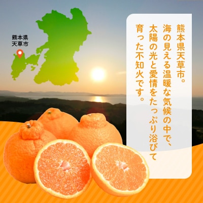 〈先行受付〉訳あり 不知火 約9kg 数量限定_S086-007A