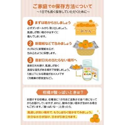 〈先行受付〉訳あり 不知火 約9kg 数量限定_S086-007A