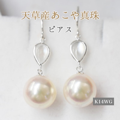 真珠 ピアス シェル 8-8.5mm ドロップ ホワイトピンク K14WG_S101-419