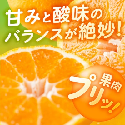 加温ハウス 不知火 約3kg【先行受付】_S149-004