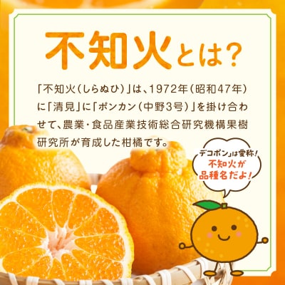 加温ハウス 不知火 約3kg【先行受付】_S149-004