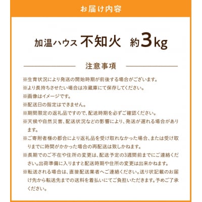 加温ハウス 不知火 約3kg【先行受付】_S149-004