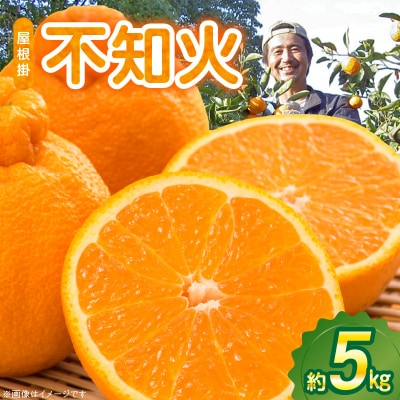屋根掛 不知火 約5kg【先行受付】_S149-005