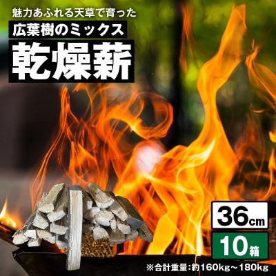 魅力あふれる天草で育った広葉樹のミックス乾燥薪(36cm)　　_S163-013