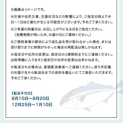 【全12回　連続 指定日必須】 お刺身用柵定期便_S121-T05