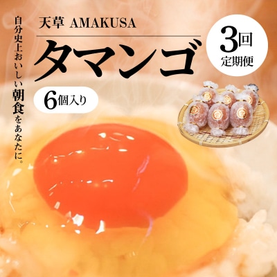 【定期便3回】天草 タマンゴ 6個 卵_S038-T03