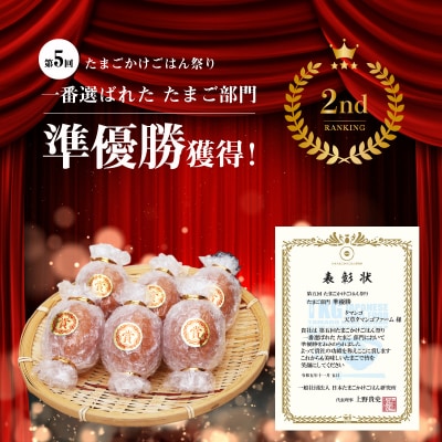 【定期便3回】天草 タマンゴ 6個 卵_S038-T03