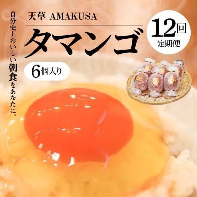【定期便12回】天草 タマンゴ 6個 卵_S038-T12
