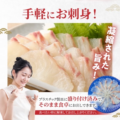 【定期便6回】天草の味が楽しめる♪真鯛のお刺身【4～5人前】_S106-015-T06