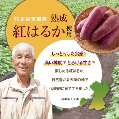 鏡さんちの熟成紅はるか 干し芋(こっぱ)80g×12袋 合計960g_S050-011