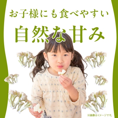 スティックカリフラワー (天草一号)600g_S150-006