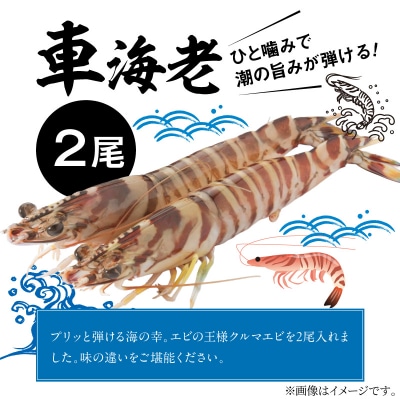 海鮮バーベキューセット(2人前)_S059-025