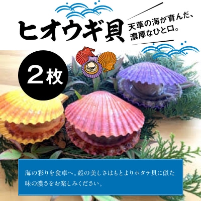 海鮮バーベキューセット(2人前)_S059-025