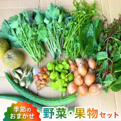 季節のおまかせ野菜と果物セット_S096-004