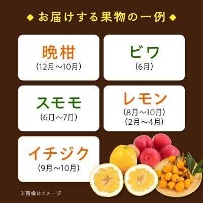 季節のおまかせ野菜と果物セット_S096-004