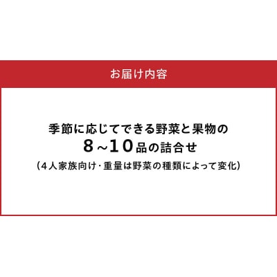 季節のおまかせ野菜と果物セット_S096-004