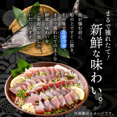 漁師の手作り カツオのたたき(ハガツオ)_S147-002