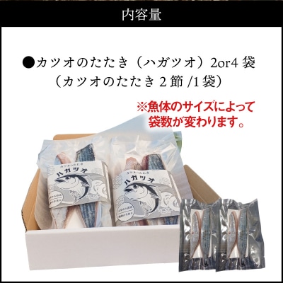 漁師の手作り カツオのたたき(ハガツオ)_S147-002
